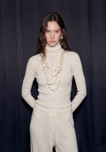 Linea Sheer Turtleneck