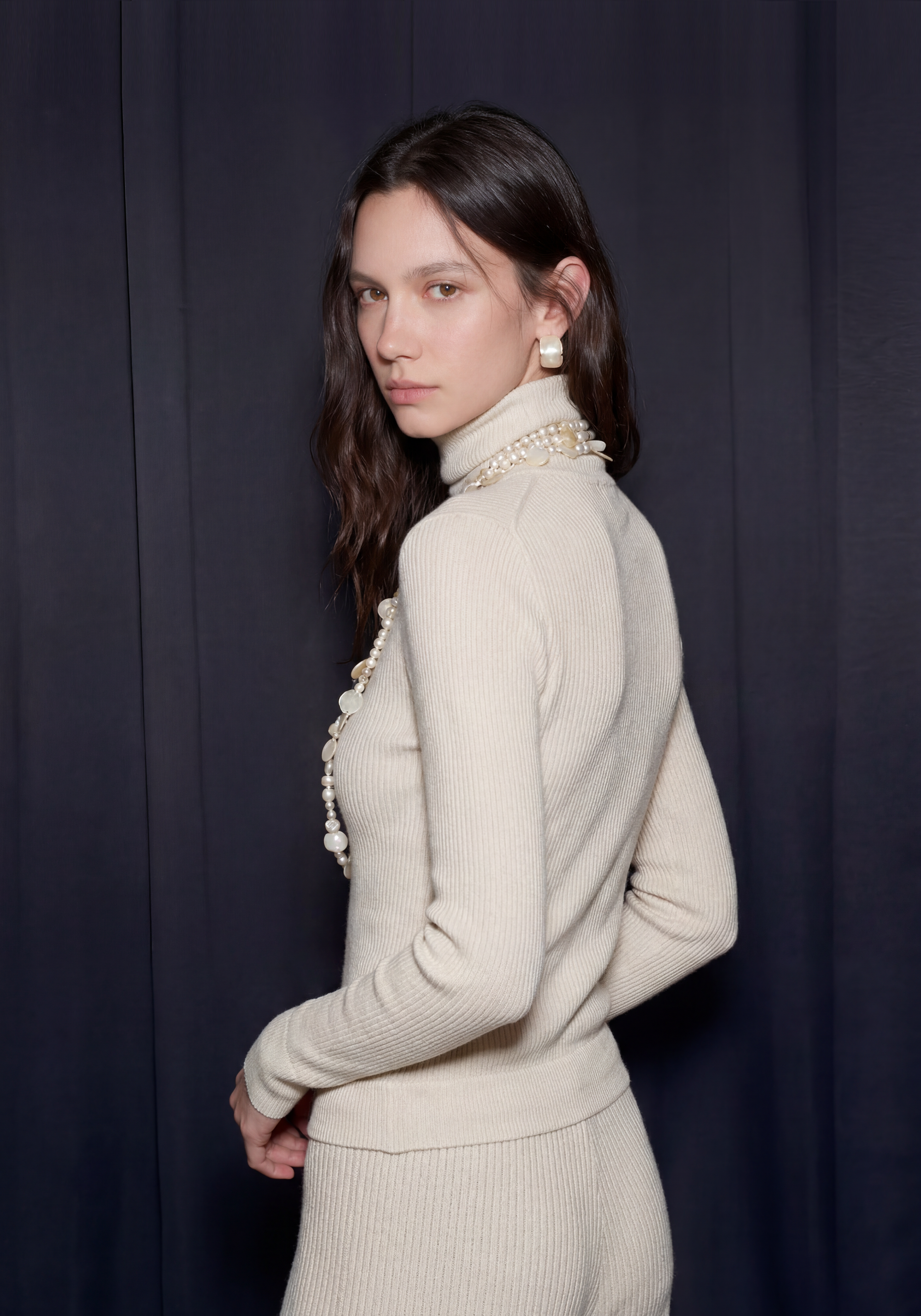 Linea Sheer Turtleneck