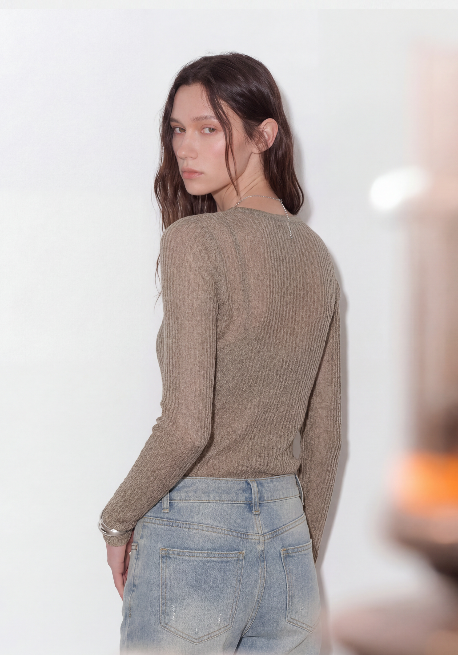 Veil Sheer Top