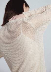 Veil Sheer Top